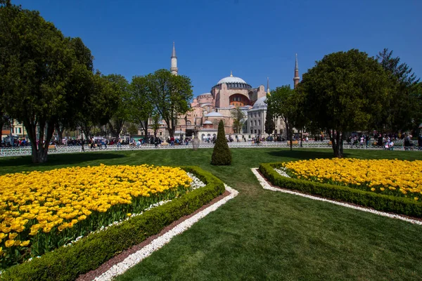 Stanbul Turkey Haziran 2017 Mahya Stanbul Türkiye Deki Mavi Cami — Stok fotoğraf