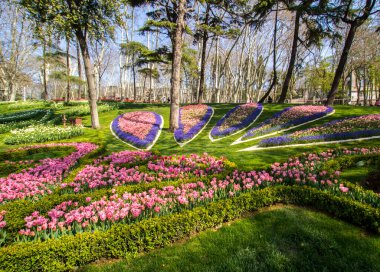 İstanbul 'un Sariyer ilçesinde yer alan tarihi kent parkı Emirgan Parkı' nda düzenlenen lale Festivali. Emirgan Parkı 'nın renkli lalelerini görüyor.