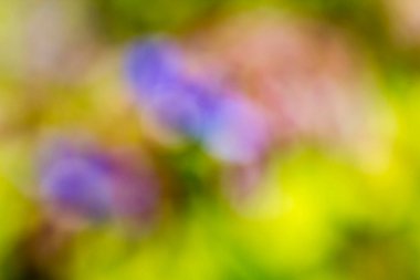 soyut bulanık, renkli arkaplan