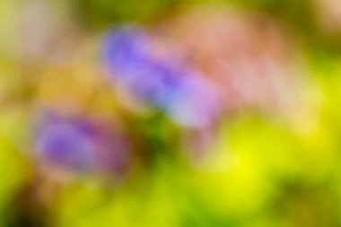 soyut bulanık, renkli arkaplan