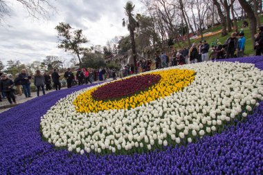TURKEY İSTANBUL; 9 Nisan 2017 Emirgan Parkı ve laleleri