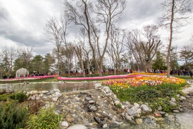 TURKEY İSTANBUL; 9 Nisan 2017 Emirgan Parkı ve laleleri