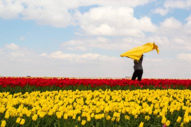 Renkli lale bahçeleri
