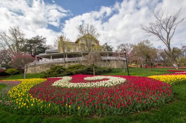 TURKEY İSTANBUL; 9 Nisan 2017 Emirgan Parkı ve laleleri