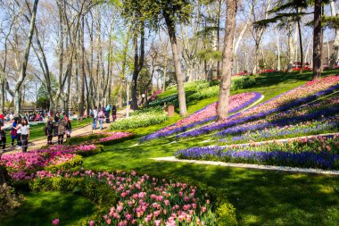 İstanbul 'un Sariyer ilçesinde yer alan tarihi kent parkı Emirgan Parkı' nda düzenlenen lale Festivali. Emirgan Parkı 'nın renkli lalelerini görüyor.