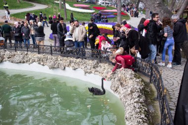 TURKEY İSTANBUL; 9 Nisan 2017 Emirgan Parkı ve laleleri