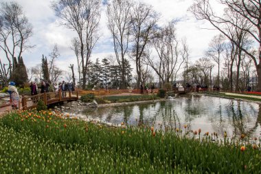 TURKEY İSTANBUL; 9 Nisan 2017 Emirgan Parkı ve laleleri