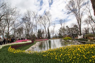 TURKEY İSTANBUL; 9 Nisan 2017 Emirgan Parkı ve laleleri