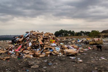 Edirne, Türkiye - 16 Ekim 2016: Çöplük