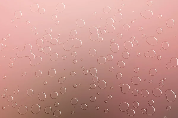Drops Rain Window Rainy Day — Stock Photo, Image
