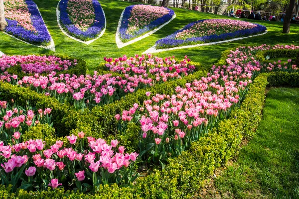 Tulpenfest Emirgan Park Einem Historischen Stadtpark Istanbuler Stadtteil Sariyer Bunte — Stockfoto