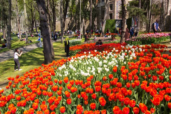Festival Tulipa Emirgan Park Parque Urbano Histórico Localizado Distrito Sariyer — Fotografia de Stock