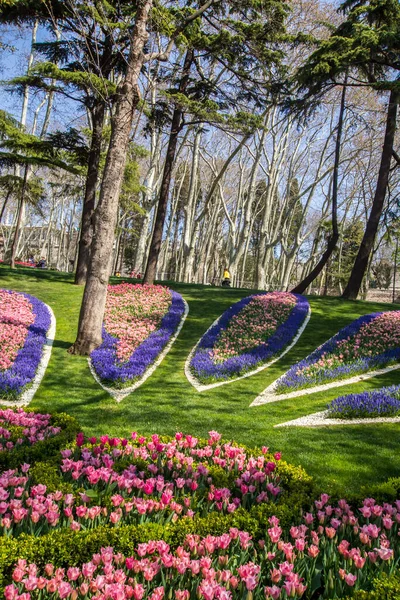 Tulpenfest Emirgan Park Einem Historischen Stadtpark Istanbuler Stadtteil Sariyer Bunte — Stockfoto