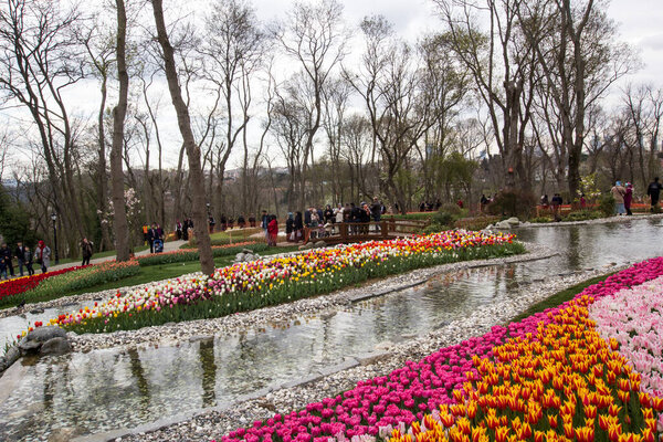 TURKEY ISTANBUL; 9 апреля 2017 Эмирганский парк и тюльпаны
