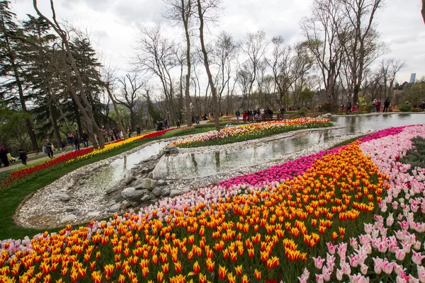 Türkei Istanbul April 2017 Emirgan Park Und Tulpen — Stockfoto