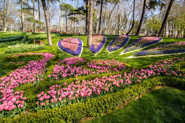 Tulpenfest Emirgan Park Einem Historischen Stadtpark Istanbuler Stadtteil Sariyer Bunte — Stockfoto