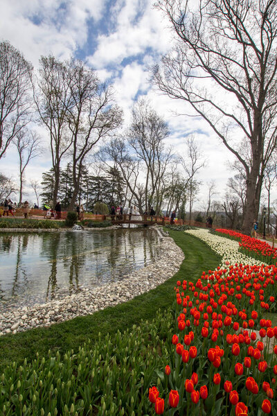TURKEY ISTANBUL; 9 апреля 2017 Эмирганский парк и тюльпаны

