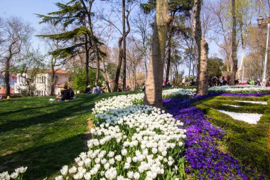 İstanbul 'un Sariyer ilçesinde yer alan tarihi kent parkı Emirgan Parkı' nda düzenlenen lale Festivali. Emirgan Parkı 'nın renkli lalelerini görüyor.