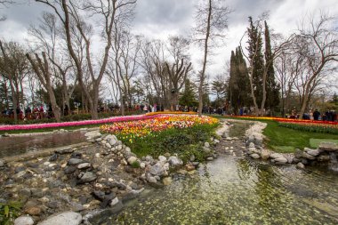 TURKEY İSTANBUL; 9 Nisan 2017 Emirgan Parkı ve laleleri