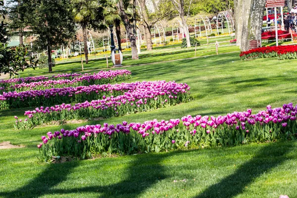 Tulpenfest Emirgan Park Einem Historischen Stadtpark Istanbuler Stadtteil Sariyer Bunte — Stockfoto