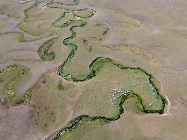 Türkiye 'nin Ordu kentindeki Persembe Platosu' nda dönemeç manzarası. Yamaçlarda geleneksel evleri olan yemyeşil bir vadiden akan manzaralı nehir kıvrımları. Bulutlu bir yaz gökyüzü altında Karadeniz bölgesinin huzurlu doğal manzarası.