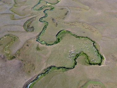 Türkiye 'nin Ordu kentindeki Persembe Platosu' nda yılan avcılarının havadan yüksek açılı görüntüsü. Dönen bir nehir bozkırlarda geleneksel köy evleriyle doğal desenler oluşturur. Karadeniz dağ bölgesinin coğrafi harikası.