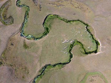 Türkiye 'nin Ordu kentindeki Persembe Platosu' nda, sarmal kanatlıların yukarıdan aşağı havadan görünüşü. Yılan nehri, geleneksel evleri olan yemyeşil bir vadi boyunca doğal desenler yaratır. Yumuşak güneş ışığı altında Karadeniz bölgesinin doğal coğrafi harikası.