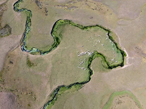 Türkiye 'nin Ordu kentindeki Persembe Platosu' nda, sarmal kanatlıların yukarıdan aşağı havadan görünüşü. Yılan nehri yeşil bir vadi boyunca akar ve kıyılarında geleneksel evler bulunur. Karadeniz dağlarının şaşırtıcı doğal deseni ve coğrafi harikası..