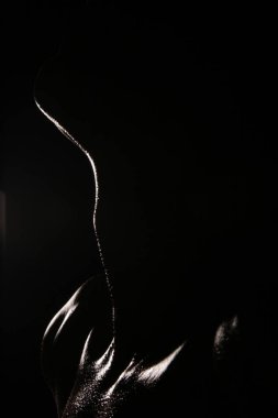 Siyah arka planda bir adamın boynu.