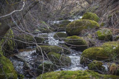 Kayalıklarda küçük bir şelale olan bahar manzarası
