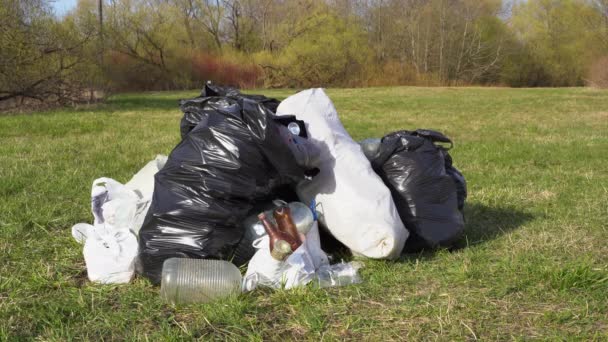 Člověk vyhazuje odpadky na zelený trávník v lese. Problém recyklace. — Stock video