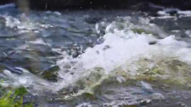 Eau bouillante sur une rivière de montagne. Petite cascade dans la rivière . — Video