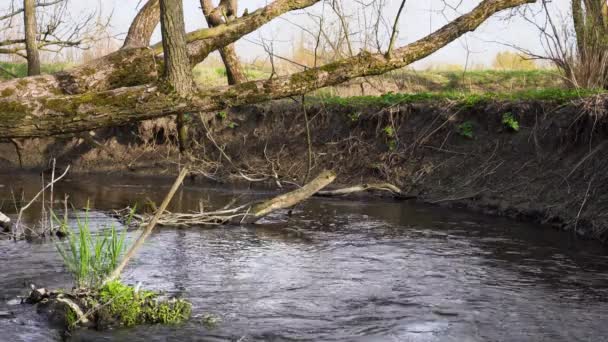 Ein kleiner Fluss neben einer Klippe. Bach fließt vor der Kulisse des Walls. — Stockvideo