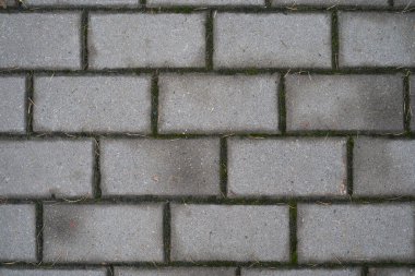 Yağmurdan sonra gri kaldırım levhalarının dokusu