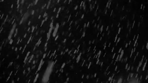 Slecht weer, regen en natte sneeuw, vallende sneeuw geïsoleerd op zwarte achtergrond te gebruiken voor het componeren, motion graphics. Grote en kleine sneeuwvlokken, geïsoleerde vallende sneeuw — Stockvideo