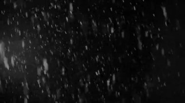 Kötü hava, yağmur ve ıslak kar, yağan kar beste yapmak için siyah zemin üzerinde izole edilmiş, hareketli grafikler. Büyük ve küçük kar taneleri, ıssız düşen kar taneleri