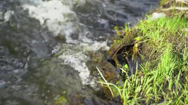 Кип'ятіть воду на гірській річці. Невеликий каскадний водоспад в річці — стокове відео