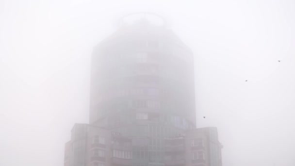 Mistyczna gęsta mgła wokół budynku. Ptaki przelatują na tle brudnego smogu pokrywającego sylwetkę wieżowca — Wideo stockowe