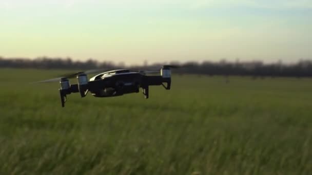 Gli amanti del quadricottero nel prato verde. Drone che vola. Riprese con una telecamera drone — Video Stock