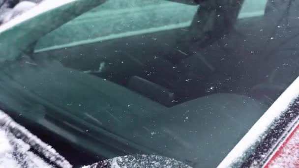 Auto Essuie-glaces de voiture balayent la neige en hiver. pare-brise de voiture dans la journée d'hiver, essuie-glaces de voiture verre propre, tempête de neige à l'extérieur. Voiture couverte de neige. Conduite hivernale — Video