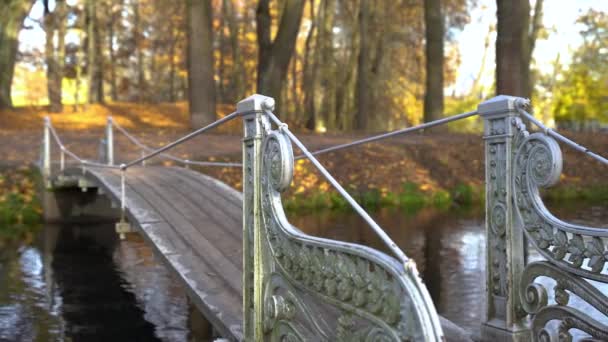 Pequena ponte sobre o rio com grades no parque — Vídeo de Stock