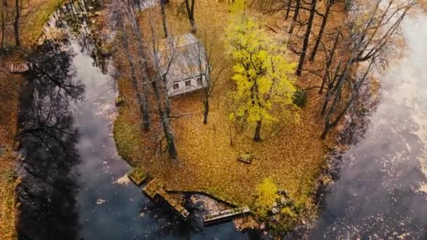 4K Old house at river bank. Autumn forest. Abandoned house on the shore of lake — Stock Video