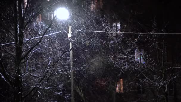 Lamba sokak lambası kar yağışı gecesi. Sokak lambası, akşam, kar ve yağmur yağar. Kötü Hava, Yağmur ve Islak Kar — Stok video
