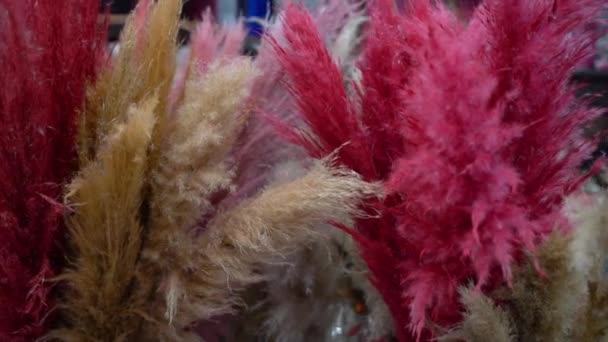 말랑말랑 한 꽃다발을 가지고 다닌다. 아스파라거스는 안정적 인 다채 로운 깃털 풀이다. 꽃다발을 위한 장식들. 선물 부케를 만들 색깔 이 있는 귀 다발 이 있는 집. — 비디오