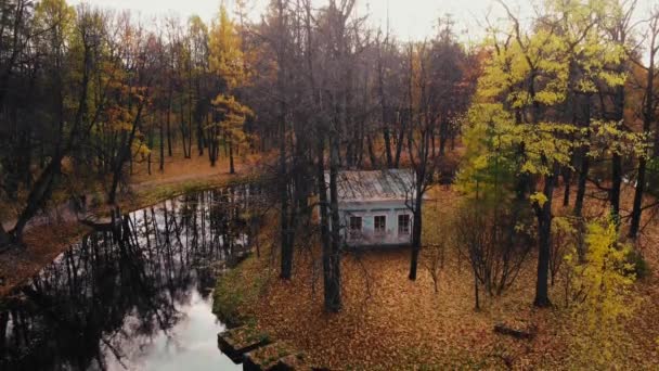 Στο παλιό σπίτι στην όχθη του ποταμού. Φθινοπωρινό δάσος. Εγκαταλελειμμένο σπίτι στην όχθη της λίμνης — Αρχείο Βίντεο