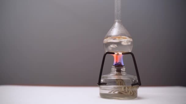 Лампочка с кипящей жидкостью на горелке. Фляжка нагревается на горелке в лаборатории. Научный эксперимент. Стеклянная горелка для спирта горит на столе — стоковое видео