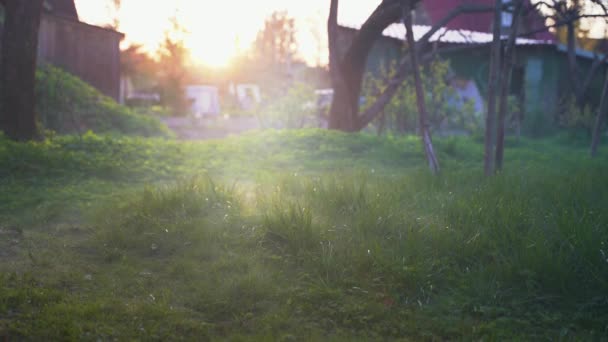Köd és harmat a vidéki ház zöld gyepén. Homály kúszik át a füvön naplementekor.