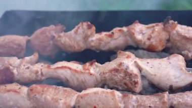 Shashlik eti dumanla kızartılıyor. Izgarada Barbekü Et