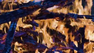 Ateş serbest. Şenlik ateşi doğada yanıyor.