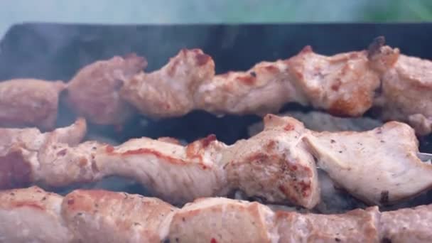 シャシュリック肉は石炭を煙で炒めます。バーベキューグリル上の肉 — ストック動画